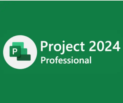 صورة Microsoft Project 2021 Pro - 1PC