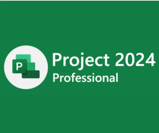 صورة Microsoft Project 2021 Pro - 1PC